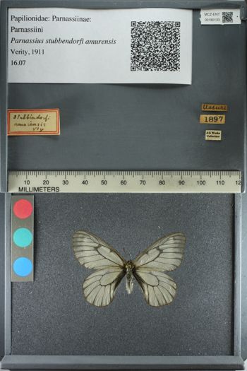 Media type: image;   Entomology 180133